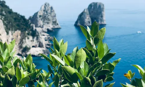 Guida alle isole del Golfo di Napoli