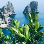 Guida alle isole del Golfo di Napoli