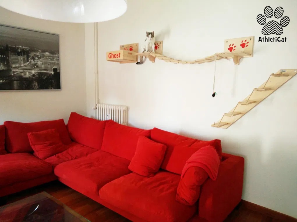 Gatti casalinghi: come aumentare la loro attività fisica