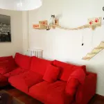 Gatti casalinghi: come aumentare la loro attività fisica