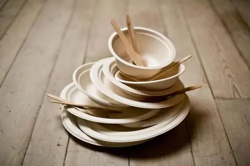 Piatti biodegradabili: una scelta che concilia estetica e sostenibilità