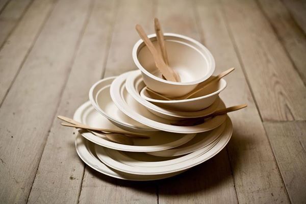 Piatti biodegradabili: una scelta che concilia estetica e sostenibilità