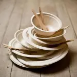 Piatti biodegradabili: una scelta che concilia estetica e sostenibilità
